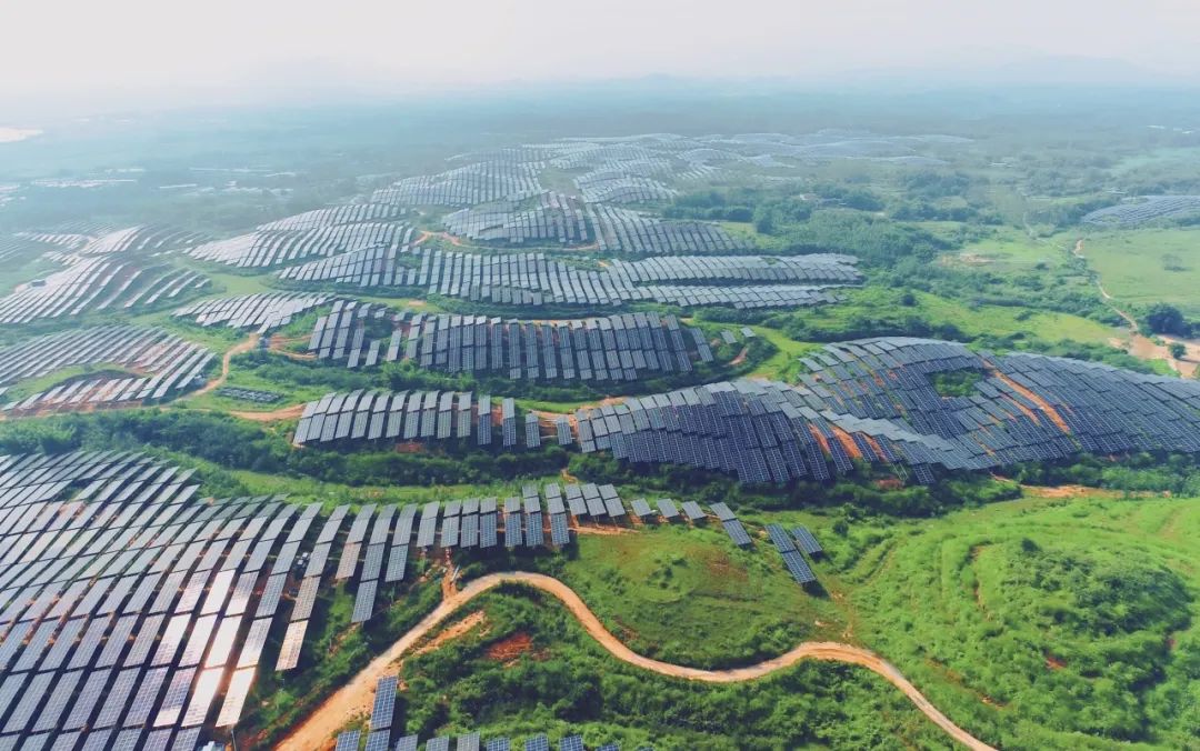 300MW！365在线体育投注官网,beat365在线体育科技广东农垦红十月农场农光互补项目满发并网